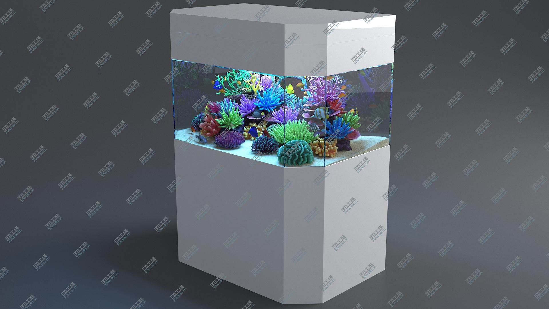 images/goods_img/202104093/3D Aquarium 04 model/4.jpg